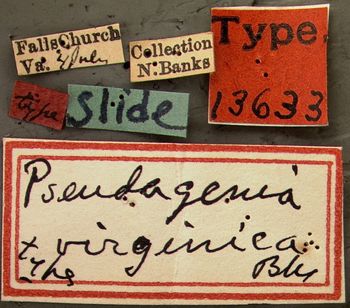 Media type: image;   Entomology 13633 Aspect: labels